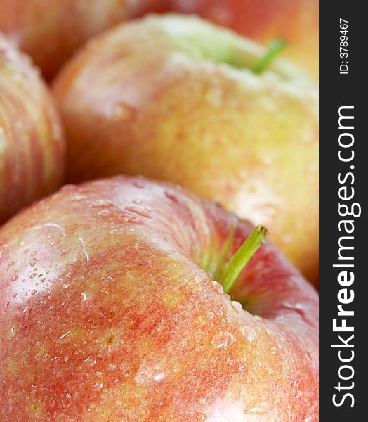 A close up macro of fresh gala apple. A close up macro of fresh gala apple