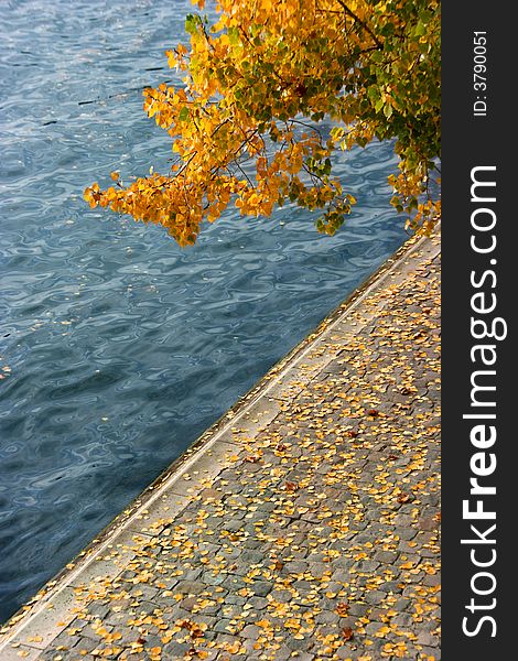 Autumn, yellow leaves and river