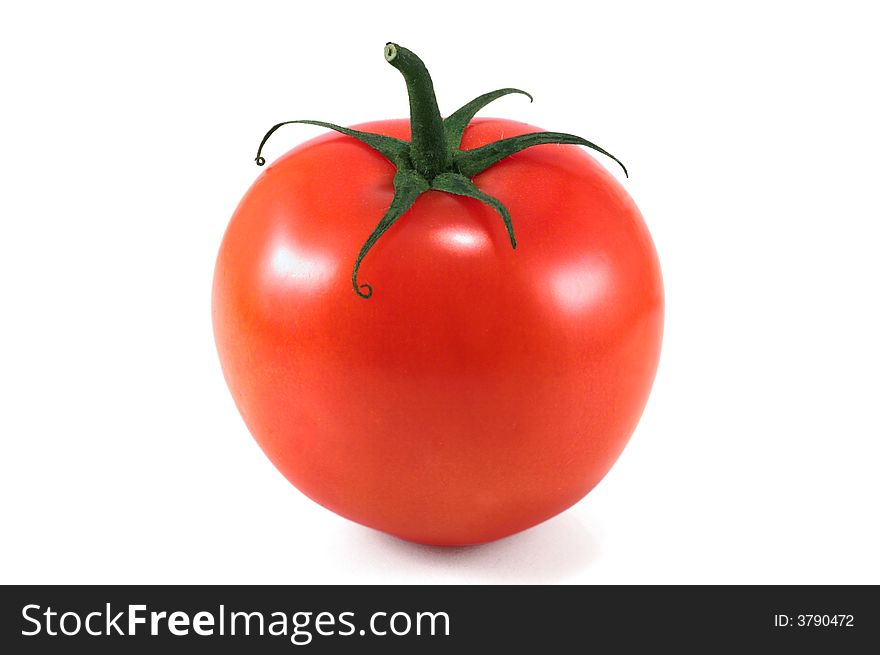 Tomatoes 4