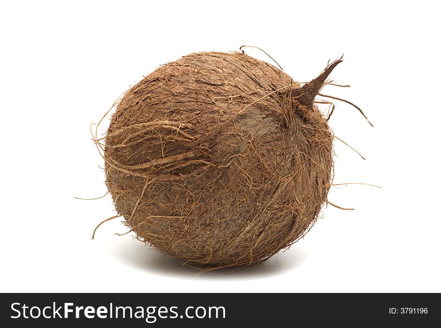 One coconut on white background