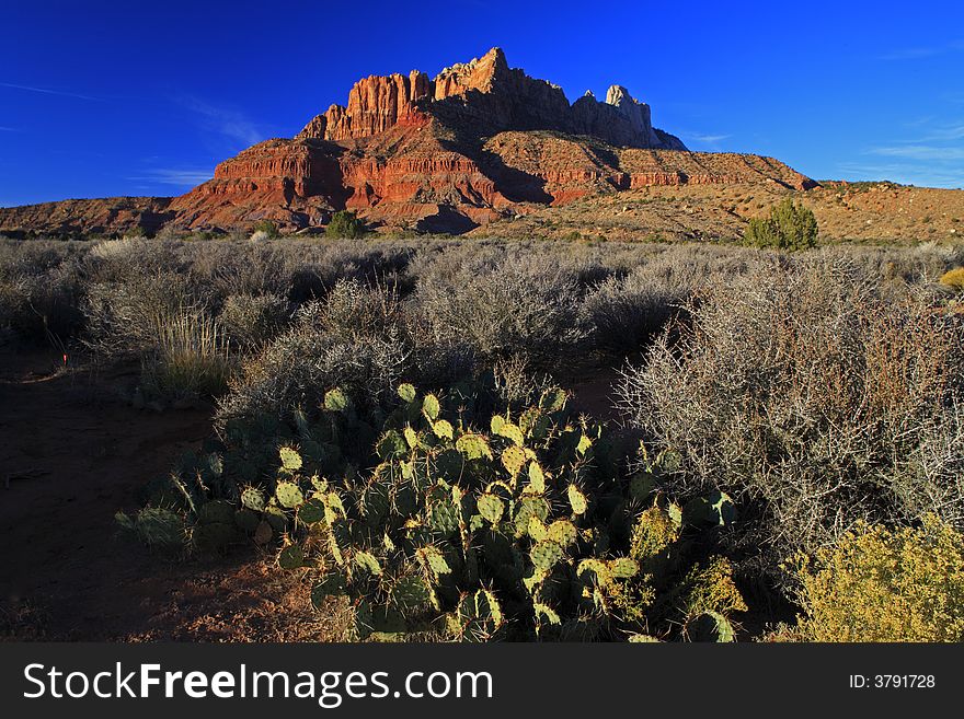 Sentinel mountain in Zion National Park at sunset