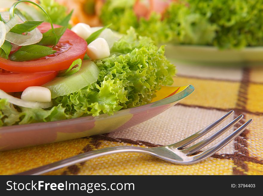 Fresh Salad