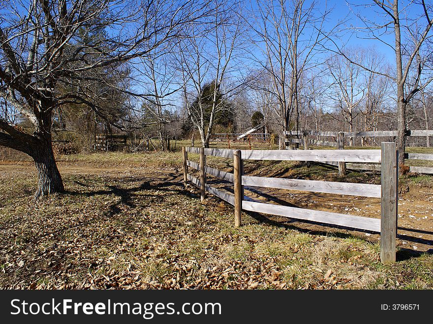 Wooden Fence with Trees on Country Road