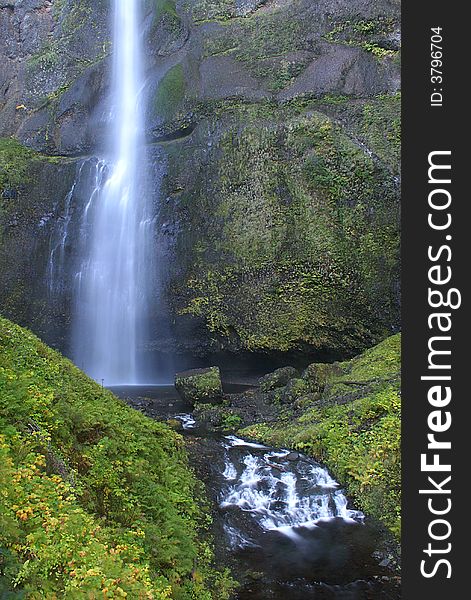 A different view of Northern Oregon's famous Multnomah Falls. This view is of the upper falls. A different view of Northern Oregon's famous Multnomah Falls. This view is of the upper falls.