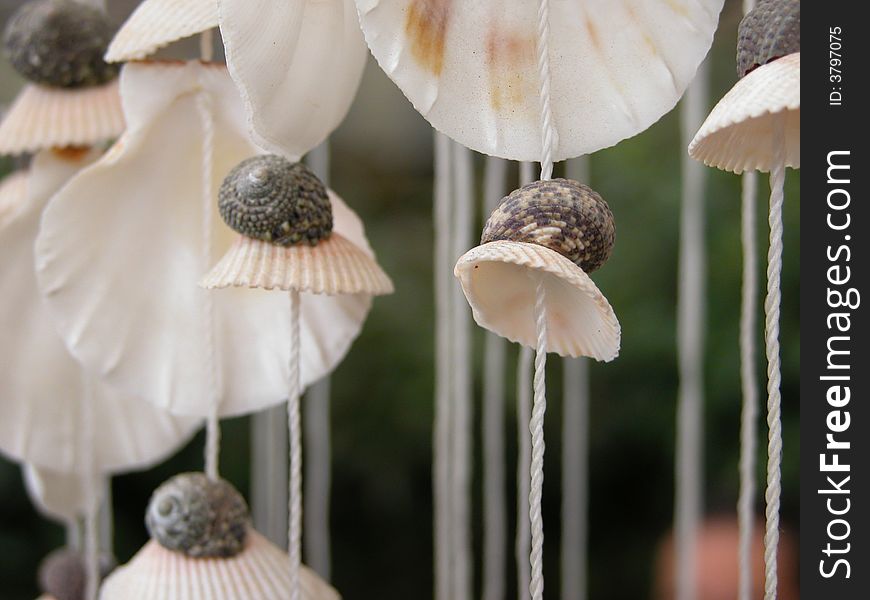 It is a wind-bells ,which is made of beautiful seashells. It is a wind-bells ,which is made of beautiful seashells.