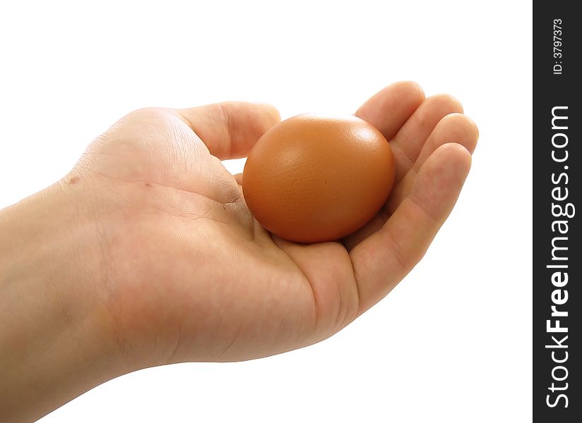 Hand holding egg isolated over white background with clipping path included