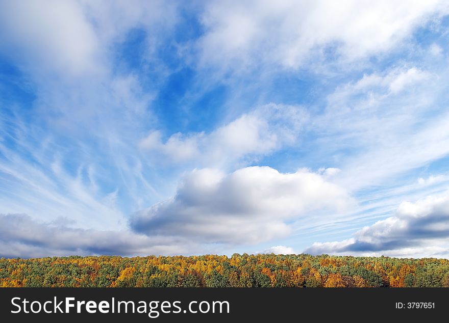 Bright autumn landscape. Coloured forest under high picturesque sky. Ninety percents of shot are busy at clouds. Bright autumn landscape. Coloured forest under high picturesque sky. Ninety percents of shot are busy at clouds.