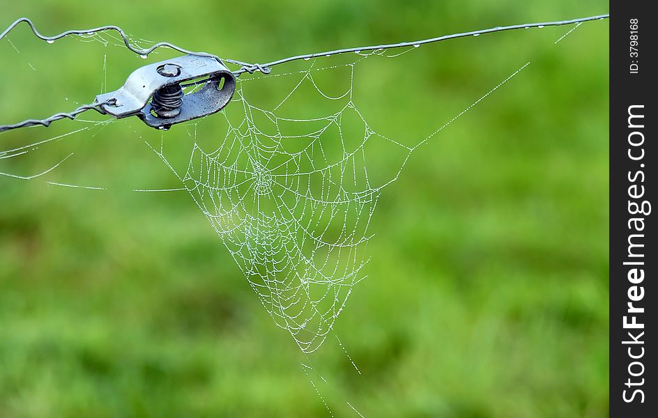 Close-up Of A Spiderweb