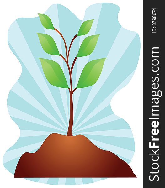 Young plant on blue background vector illustration. Young plant on blue background vector illustration