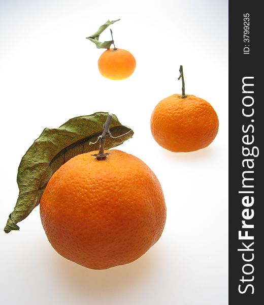 Three fruits of orange tangerine on white background