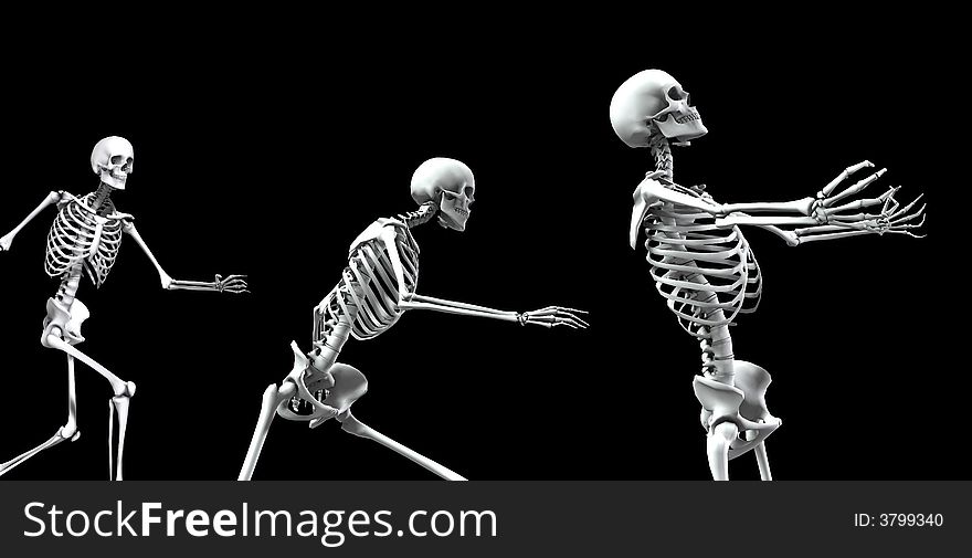 An x ray image of a group of skeletons. A suitable medical or Halloween based image. An x ray image of a group of skeletons. A suitable medical or Halloween based image.