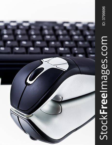 Computer mouse.