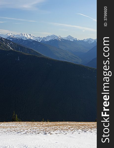 View of the Olympic Mountains from Hurricane Ridge in Olympic National Park, USA