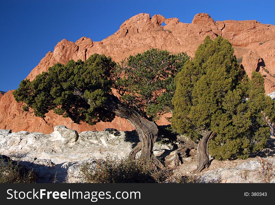 Rock Formation And Old Tree