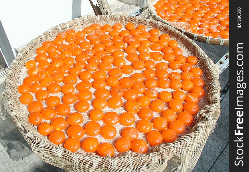 Sun drying egg yolks in a small village in Hong Kong. Sun drying egg yolks in a small village in Hong Kong.