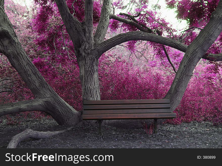 Pink seat pink tree, nice seat, stool, cool tree romantic, hot tree