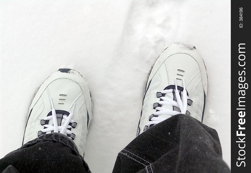 Making tracking in the snow. Making tracking in the snow