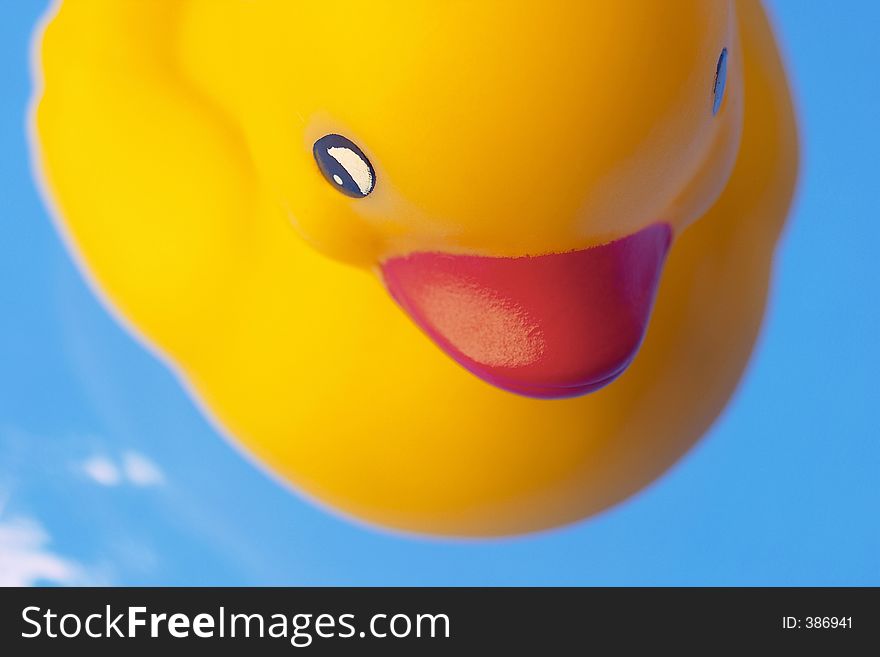 Close-up of toy duck