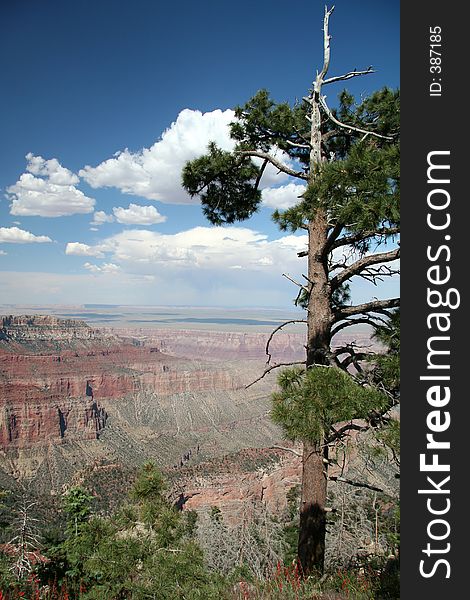 Grand Canyon Overlook