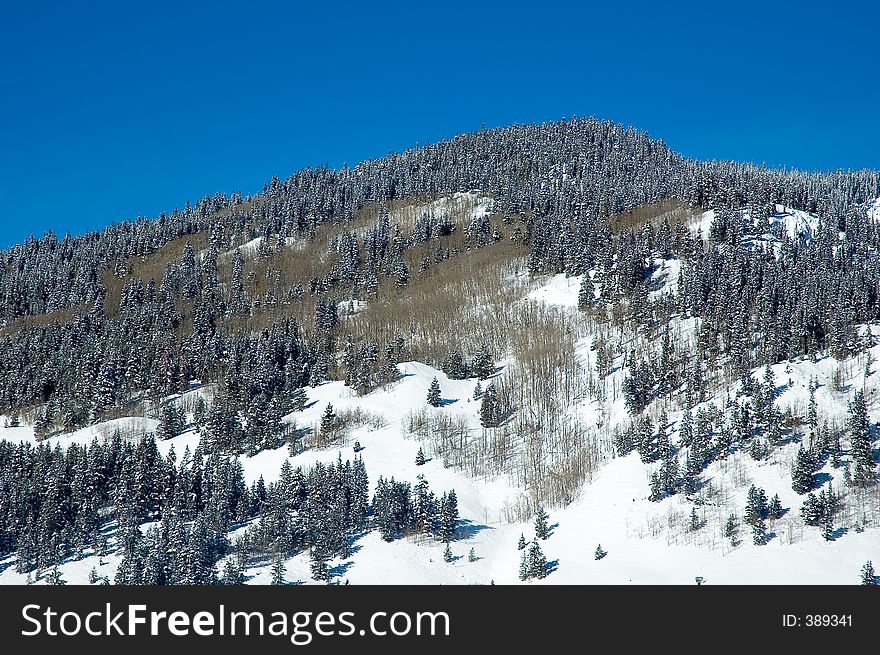 Rocky mountain winter in colorado. Rocky mountain winter in colorado