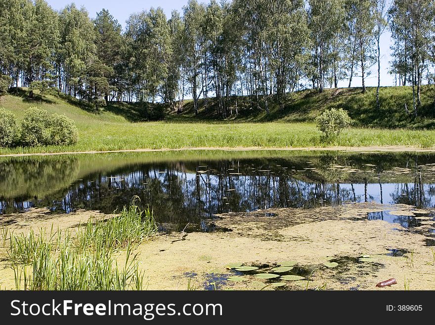 Forest lake with reflection