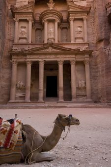 Camel In Front Of The Treasury Petra Jordan Stock Image Camel In Front Of The Treasury Petra Jordan Stock Image