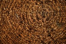 Free Wood Stock Images - 3809734