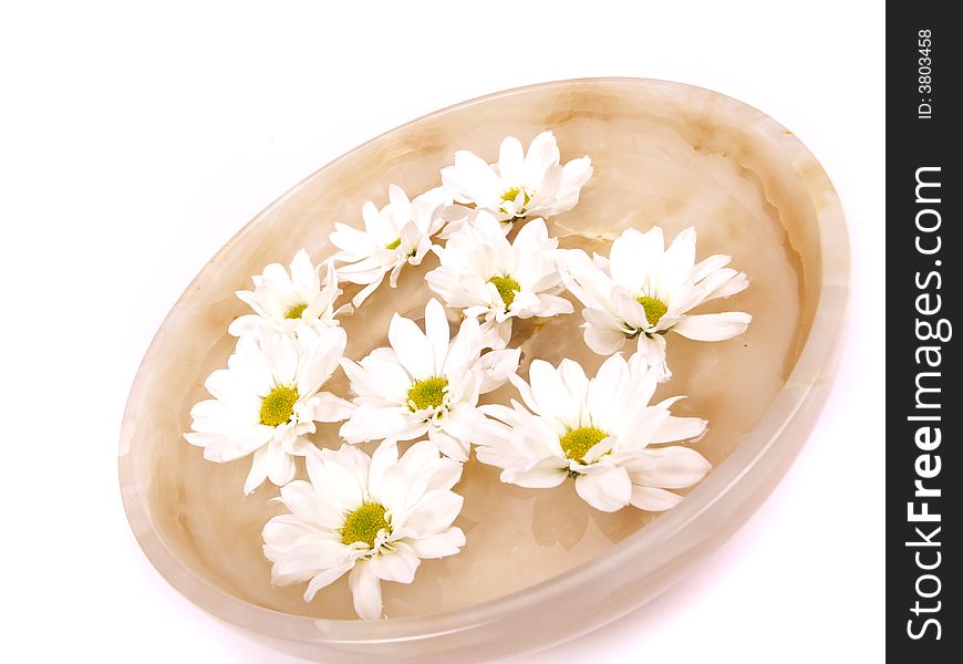 Daisies swimming in a bowl of water. Daisies swimming in a bowl of water