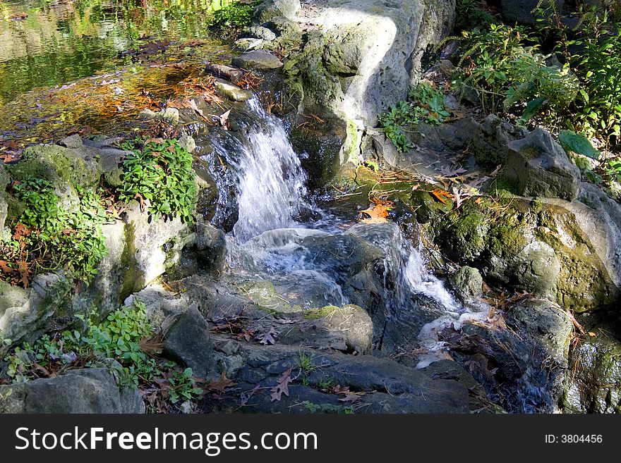 Cascade with multicolored plants around