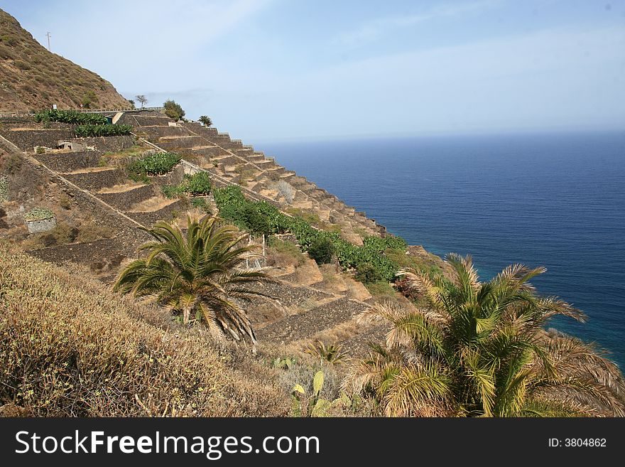 Terrace fields on Gomera island
