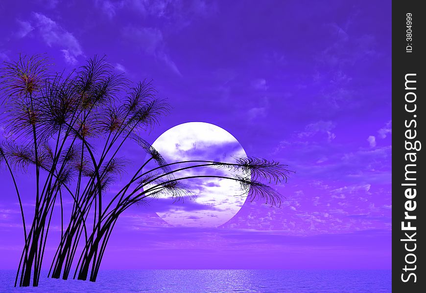 Water plants (papyrus) on a sea sunset  background  -  3D scene. Water plants (papyrus) on a sea sunset  background  -  3D scene.
