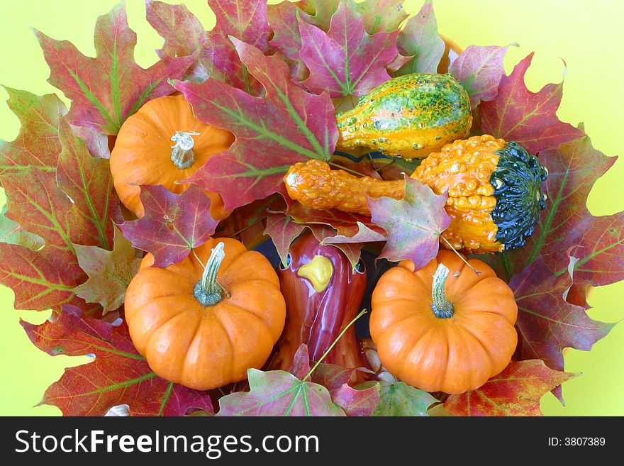Autumn maple leaves & gourds.