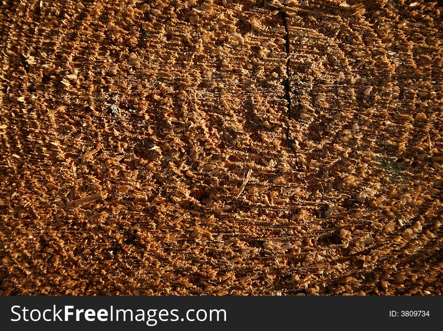 Close - up of split cut of the log. Close - up of split cut of the log.