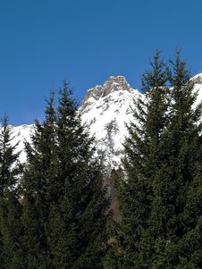 Snowy Summits And Firs Royalty Free Stock Photo Snowy Summits And Firs Royalty Free Stock Photo