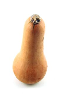Butternut Squash On A White Background Stock Images Butternut Squash On A White Background Stock Images