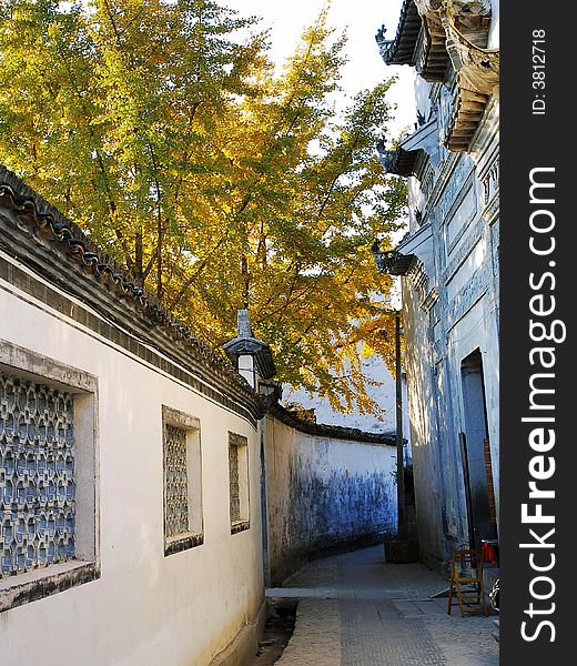 Yellow Leaves And Traditional Buildings