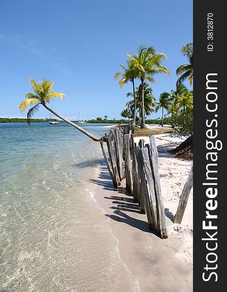 White sand beach in tropical island. Bahia state, Brazil. White sand beach in tropical island. Bahia state, Brazil
