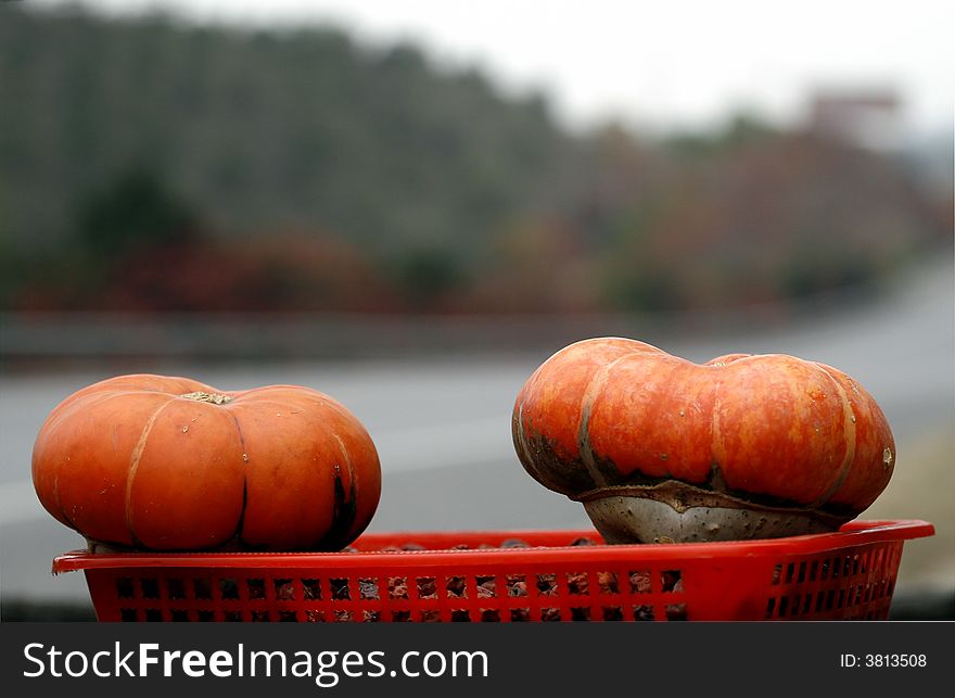 Beijing suburban autumn ...Pumpkin in the autumn scenery.