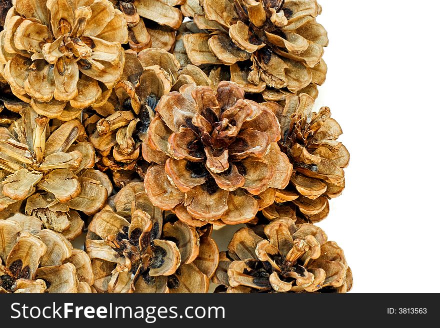 Bunch of traditional natural dried pine cones. Bunch of traditional natural dried pine cones