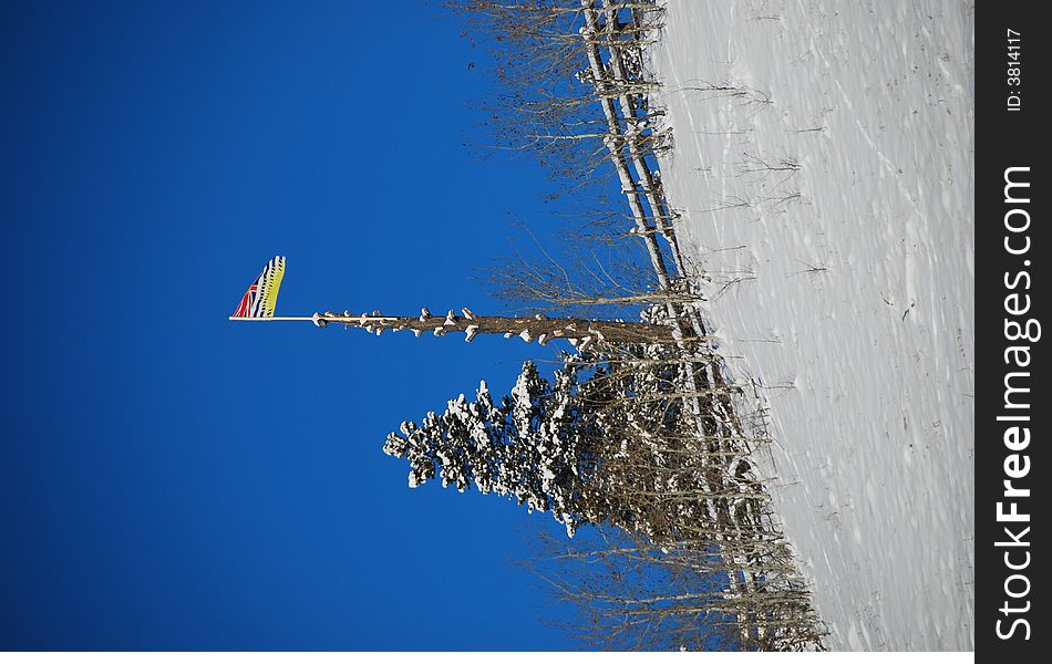 Flag from british columbia on a beautiful winter day