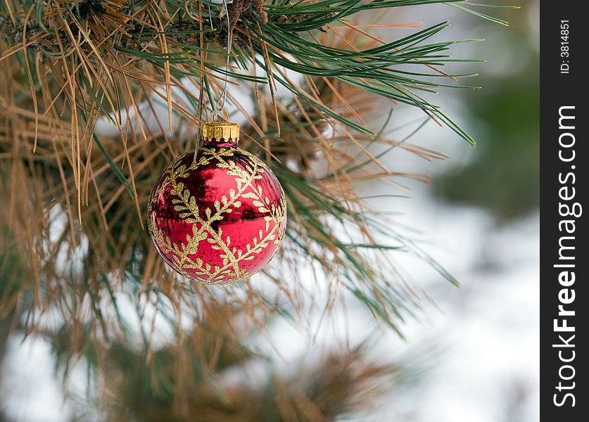 Red and Gold Christmas Ornament in a snowy pine tree