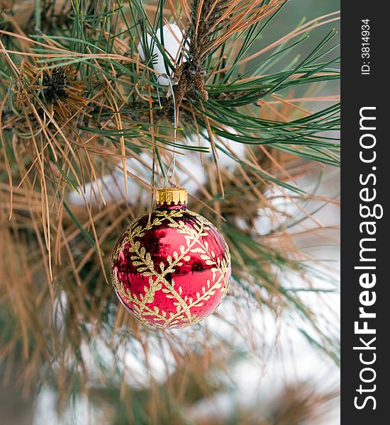 Red and Gold Christmas Ornament in a snowy pine tree