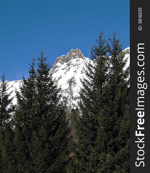 Winter landscape with snowy rocks and green firs in val d'Ossola, Italy. Winter landscape with snowy rocks and green firs in val d'Ossola, Italy