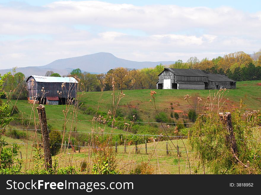 Autumn Fields And Barns