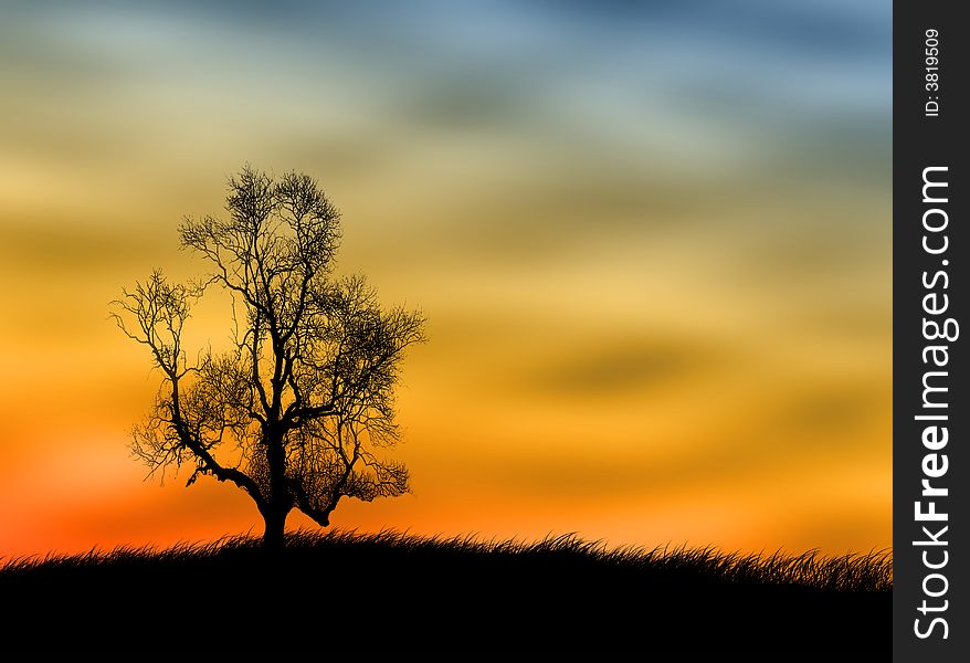 Tree silhouette on the field against a sunset sky. Tree silhouette on the field against a sunset sky