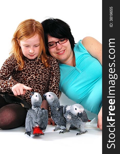 Red Tale Parrot On White With Female And Girl