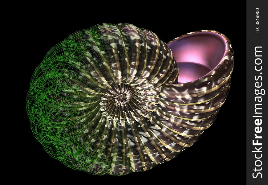 3d render of sea shell. 3d render of sea shell