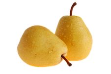 Two Pears Isolated Royalty Free Stock Image