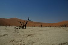 Deadvlei (Namib Desert) Royalty Free Stock Photo