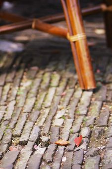 Fallen Leaves Around A Chair Stock Images Fallen Leaves Around A Chair Stock Images